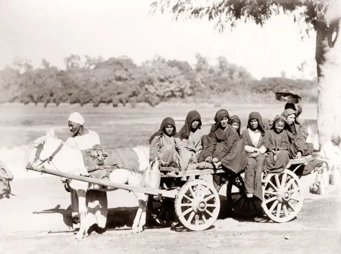 Framed Print : Group of women on a donkey cart, Egypt, c. 1880 s Framed Print : Group of women on a donkey cart, Egypt, c. 1880 s