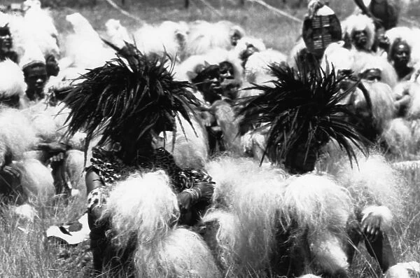 Group of Zulu Men