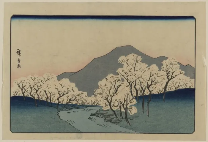 Framed Print : A Grove of Cherry Trees Framed Print : A Grove of Cherry Trees