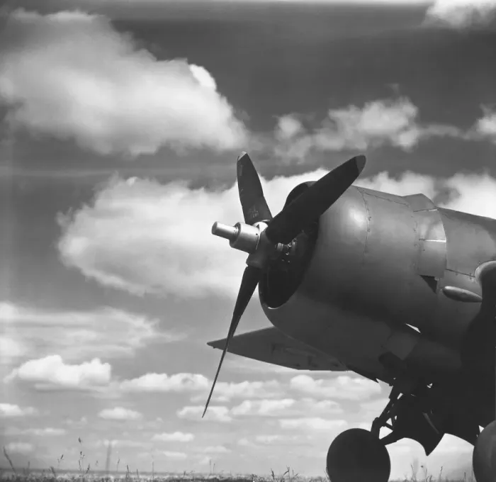 Framed Print : Grumman Wildcat Framed Print : Grumman Wildcat