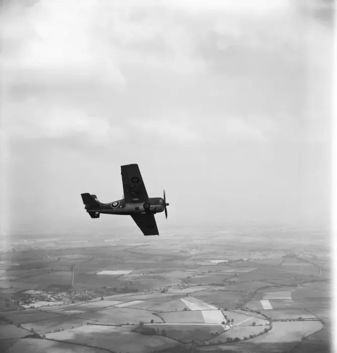 Framed Print : Grumman Wildcat Framed Print : Grumman Wildcat