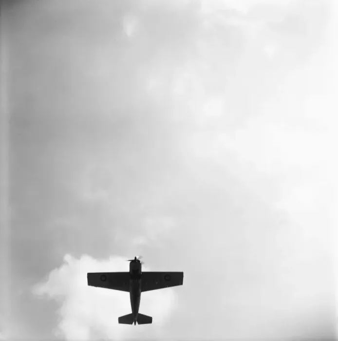 Framed Print : Grumman Wildcat Framed Print : Grumman Wildcat