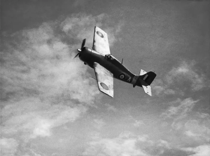 Framed Print : Grumman Wildcat Framed Print : Grumman Wildcat