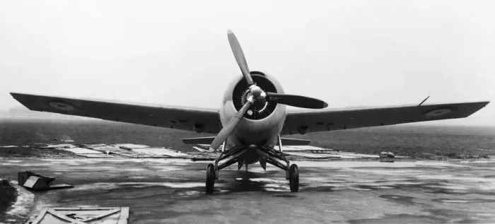 Framed Print : Grumman Wildcat Framed Print : Grumman Wildcat