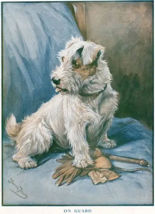Framed Print : On Guard. An alert terrier stands by its owners gloves and lead, ready for a walk Framed Print : On Guard. An alert terrier stands by its owners gloves and lead, ready for a walk