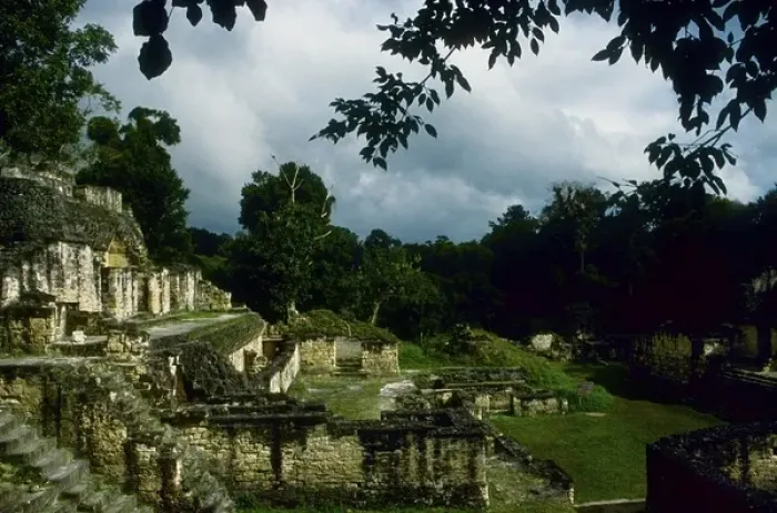 Framed Print : Guatemala. Tikal. Maya Art Framed Print : Guatemala. Tikal. Maya Art