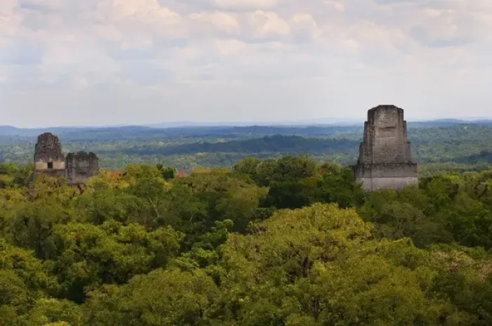 Framed Print : Guatemala. Tikal. Tikal National Park Framed Print : Guatemala. Tikal. Tikal National Park