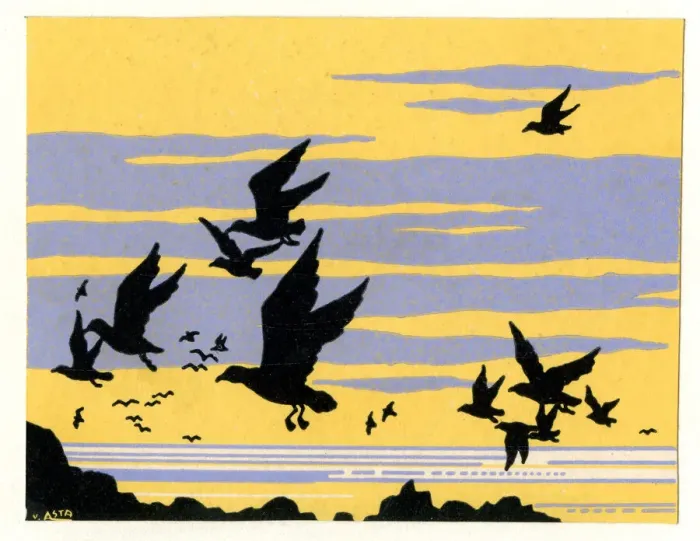 Framed Print : Gulls in Flight Framed Print : Gulls in Flight