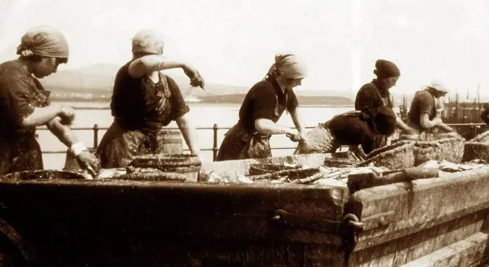Framed Print : Gutting herring, Port St. Mary, Isle of Man, early 1900s Framed Print : Gutting herring, Port St. Mary, Isle of Man, early 1900s