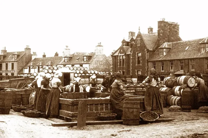 Framed Print : Gutting herring, Stornoway Isle of Lewis Framed Print : Gutting herring, Stornoway Isle of Lewis