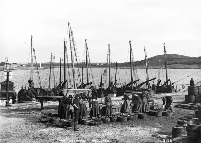 Framed Print : Gutting Herrings, Ardglass Framed Print : Gutting Herrings, Ardglass