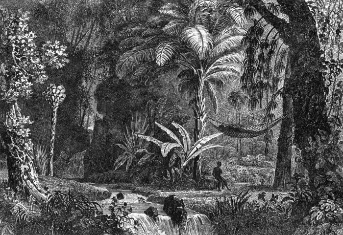 Framed Print : Guyane Francaise Scene Framed Print : Guyane Francaise Scene