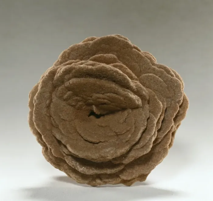 Framed Print : Gypsum crystals - A desert rose Framed Print : Gypsum crystals - A desert rose