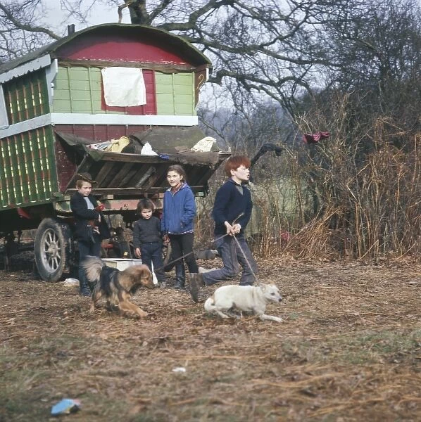 Gypsy Children and Dogs