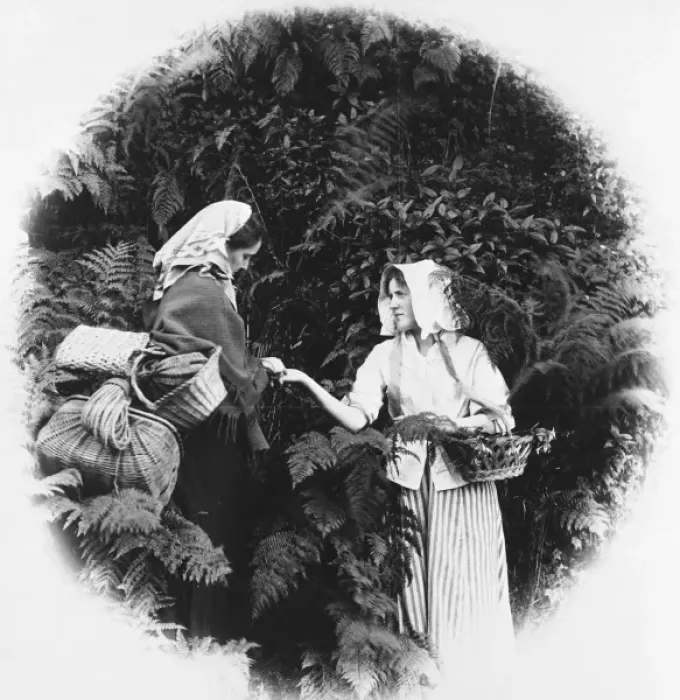 Framed Print : Gypsy palm reader Framed Print : Gypsy palm reader