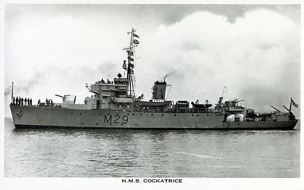 H. M. S. Cockatrice - Algerine-class minesweeper
