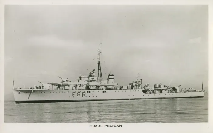 Framed Print : H. M. S. Pelican (F86) - Egret-class sloop Framed Print : H. M. S. Pelican (F86) - Egret-class sloop