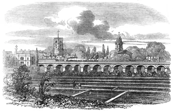Framed Print : Hackney Station and watercress plantation