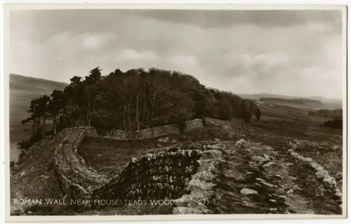Framed Print : Hadrians Wall - near Houseteads Wood Framed Print : Hadrians Wall - near Houseteads Wood