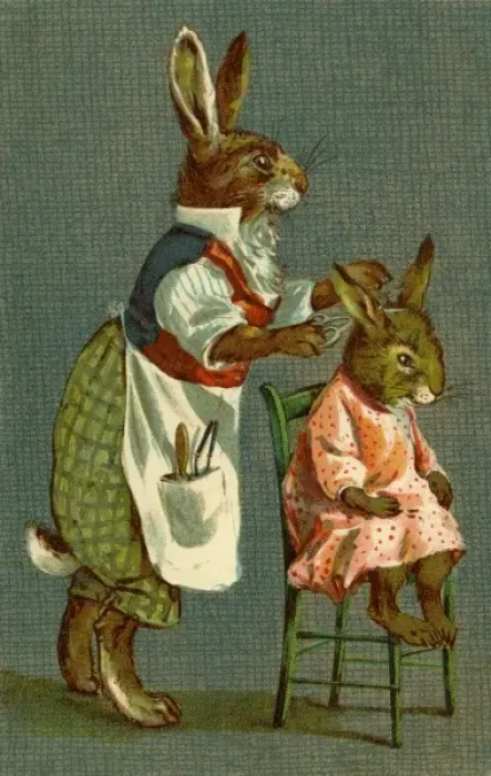 Framed Print : Haircut for Young Rabbit by g h Thompson Framed Print : Haircut for Young Rabbit by g h Thompson