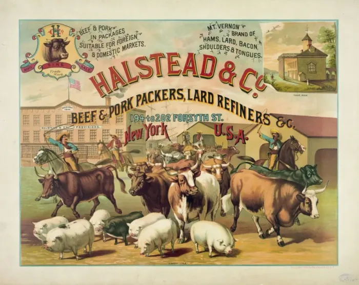 Framed Print : Halstead & Co. beef & pork Packers, Lard Refiners & Co Framed Print : Halstead & Co. beef & pork Packers, Lard Refiners & Co