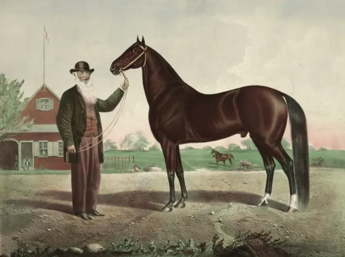 Framed Print : Hambletonian Framed Print : Hambletonian