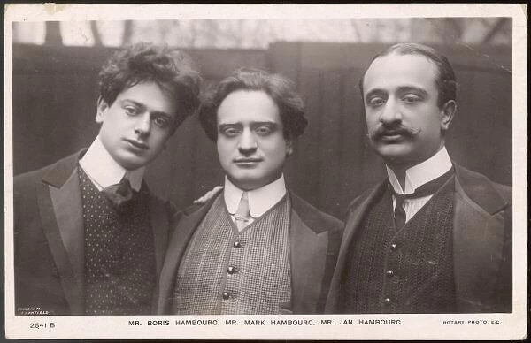Three Hambourgs  /  1909
