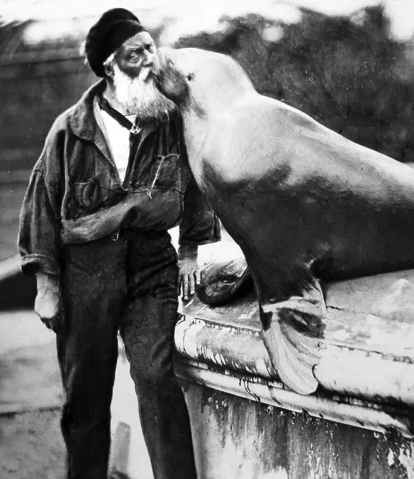 Framed Print : Hand coloured photo, zoo keeper with sea lion Framed Print : Hand coloured photo, zoo keeper with sea lion