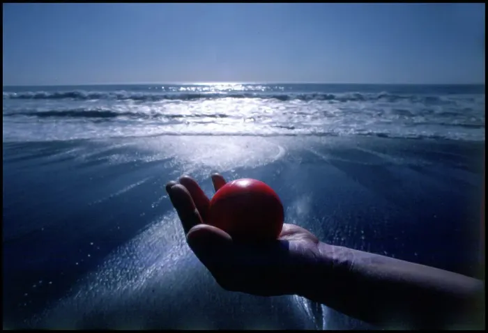 Framed Print : Hand holding red ball Moonstone Beach, California, USA Framed Print : Hand holding red ball Moonstone Beach, California, USA