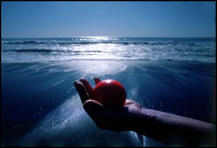 Framed Print : Hand holding red ball Moonstone Beach California Framed Print : Hand holding red ball Moonstone Beach California