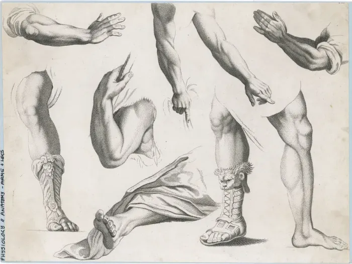 Framed Print : HANDS & FEET  /  ALBION PRES HANDS & FEET  /  ALBION PRES