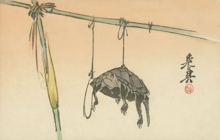 Framed Print : Hanging Turtle by Shibata Zeshin - Japanese woodblock print Framed Print : Hanging Turtle by Shibata Zeshin - Japanese woodblock print