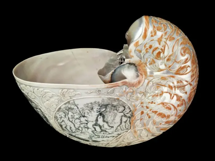 Framed Print : Hans Sloanes nautilus shell Framed Print : Hans Sloanes nautilus shell