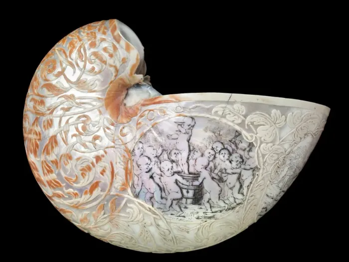 Framed Print : Hans Sloanes nautilus shell Framed Print : Hans Sloanes nautilus shell