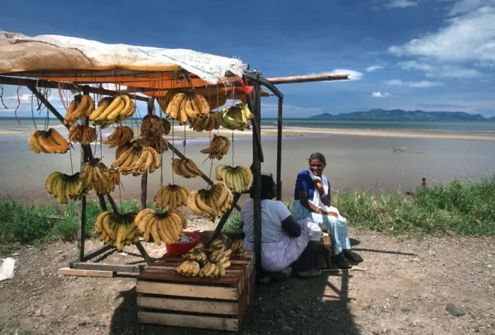 Framed Print : Happy banana sellers on a fruit stall on Viti Levu, Fiji Framed Print : Happy banana sellers on a fruit stall on Viti Levu, Fiji