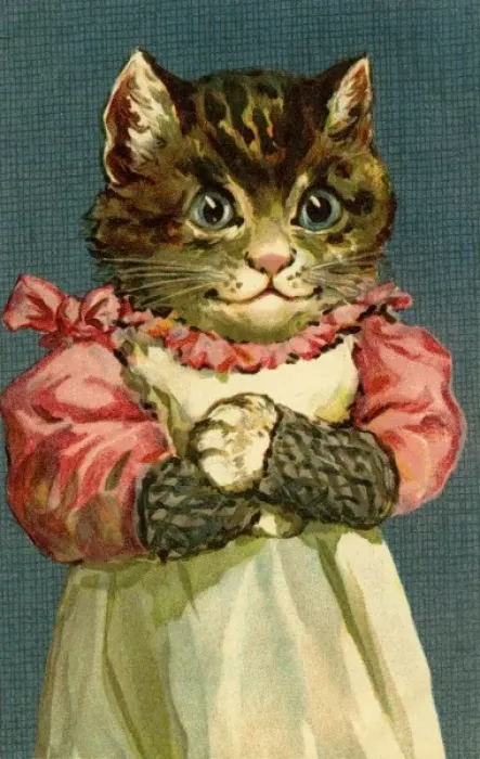 Framed Print : Happy cat by g h Thompson Framed Print : Happy cat by g h Thompson