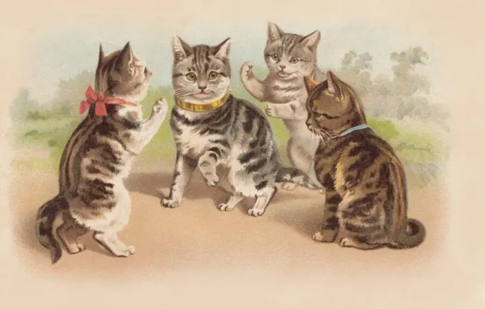 Framed Print : Happy cats Framed Print : Happy cats