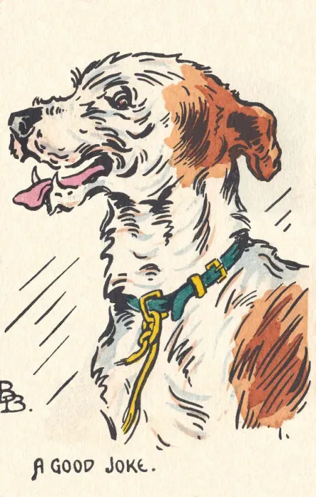 Framed Print : A Happy Dog Framed Print : A Happy Dog