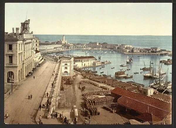 The harbour and admiralty, Algiers, Algeria