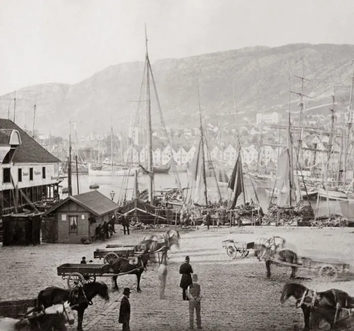 Framed Print : Harbour scene, horses and carts, Bergen Norway. c. 1890 Framed Print : Harbour scene, horses and carts, Bergen Norway. c. 1890