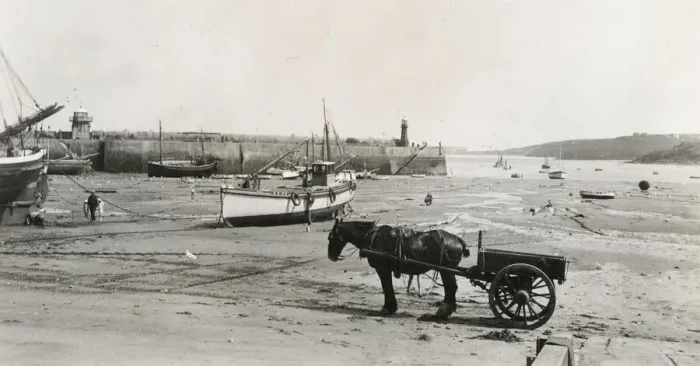Framed Print : The harbour at St. Ives, Cornwall at low tide