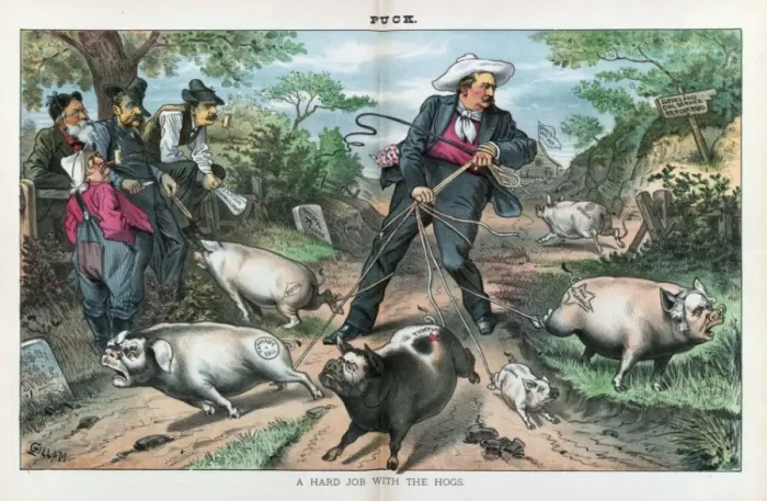 Framed Print : A hard job with the hogs Framed Print : A hard job with the hogs