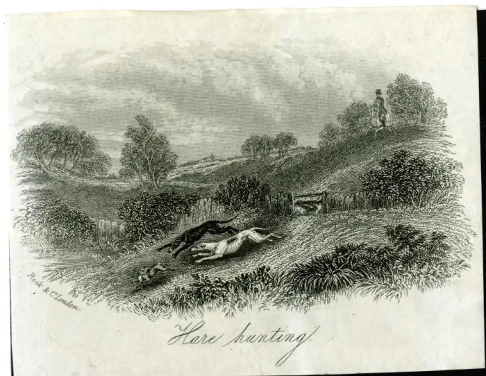 Framed Print : Hare Hunting Framed Print : Hare Hunting