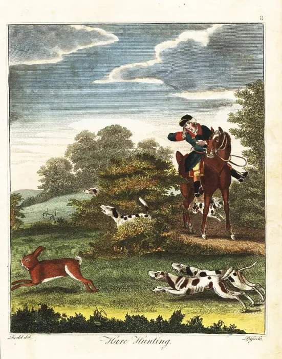 Framed Print : Hare hunting, 18th century Framed Print : Hare hunting, 18th century