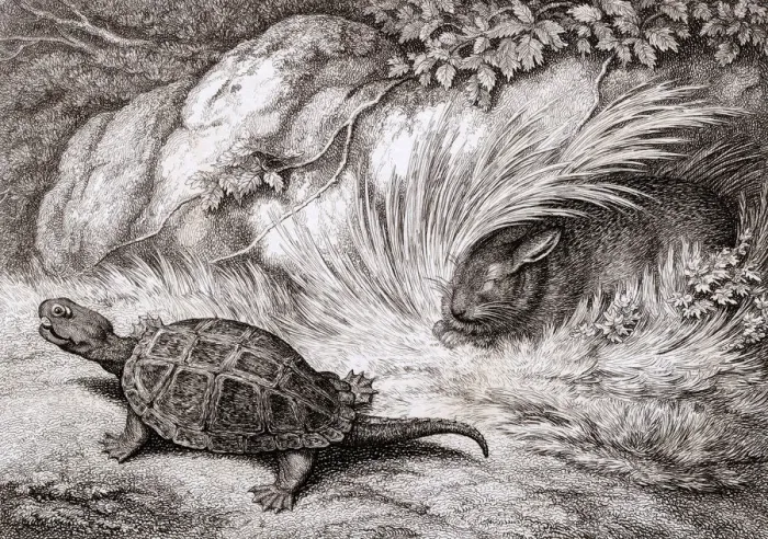 Framed Print : HARE AND TORTOISE Framed Print : HARE AND TORTOISE