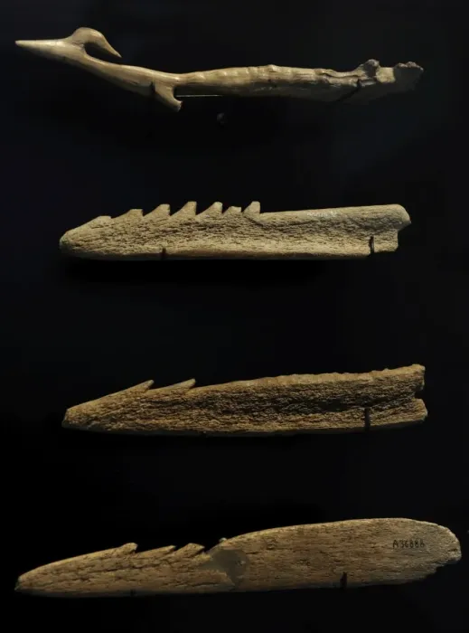 Framed Print : Harpoons. 6500-4000 BC. Denmark Framed Print : Harpoons. 6500-4000 BC. Denmark