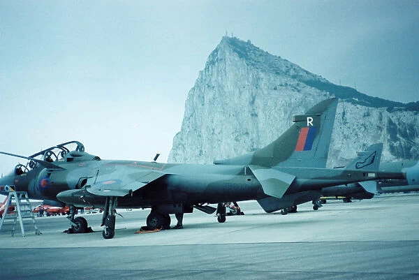 Harrier at Gibraltar