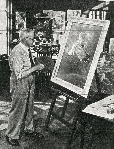 Harry Rountree, artist in his studio, St Ives, Cornwall