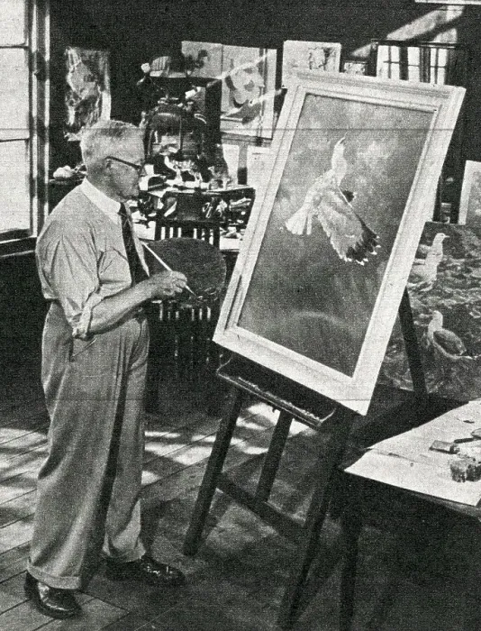 Framed Print : Harry Rountree, artist in his studio, St Ives, Cornwall Framed Print : Harry Rountree, artist in his studio, St Ives, Cornwall