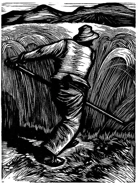 Harvest. Woodcut of man harvesting wheat with scythe